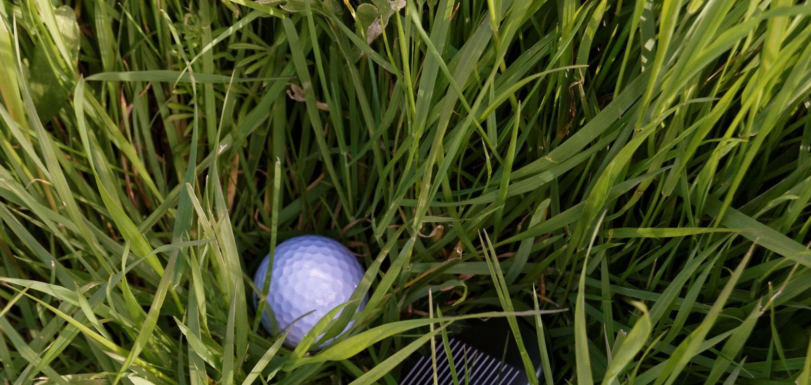 Golf ball in the rough