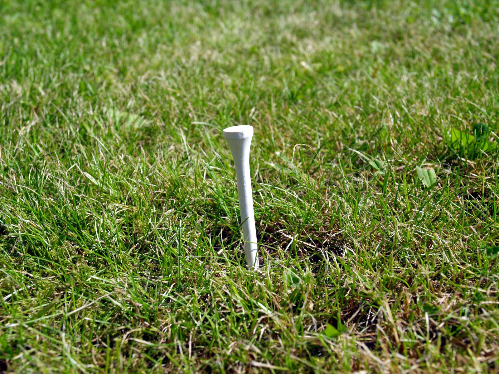 Golf tee in grass