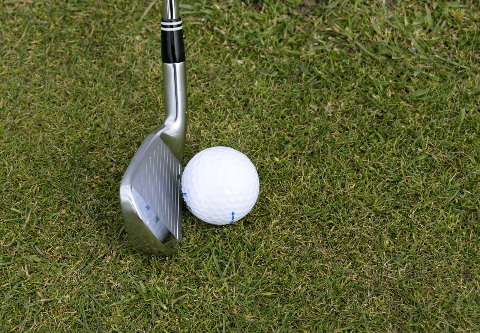 Iron beside a golf ball